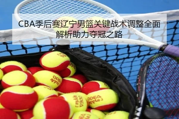 CBA季后赛辽宁男篮关键战术调整全面解析助力夺冠之路
