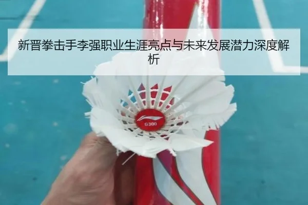 新晋拳击手李强职业生涯亮点与未来发展潜力深度解析
